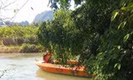 Tìm kiếm nạn nhân. 