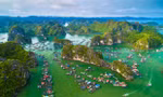 Đảo nào được UNESCO công nhận là khu dự trữ sinh quyển thế giới?