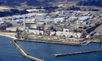 Nhà máy điện hạt nhân Fukushima Daichi. (Ảnh: AP)