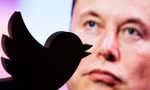 Tỷ phú Elon Musk và logo chú chim của Twitter