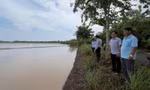 Hơn 570 ha lúa ngập sâu sau trận mưa lớn nhất 40 năm qua tại Bạc Liêu