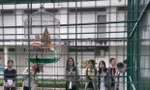 Sinh viên trường ĐH KHXH&NV (ĐHQG TP. HCM) mê tít với 'vườn thú nhỏ' trong khuôn viên trường