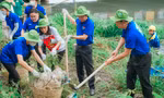 Đoàn viên, thanh niên TPHCM ra quân Chủ nhật xanh lần thứ 150