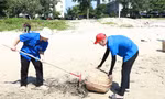 Hàng trăm sinh viên tham gia làm sạch biển tại TP. Vũng Tàu