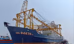 Tàu 67 của ngư dân Quảng Nam nằm bờ