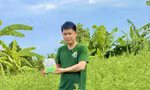 Mô hình khởi nghiệp từ cây ngải cứu giúp anh Kỹ thu về hàng tỷ đồng mỗi năm