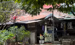 Lý do hoãn cưỡng chế thu hồi đất 58 hộ dân dự án cải tạo di tích Gò Đống Thây