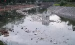 Rác 'ngập trắng' sông Tô Lịch sau cơn mưa lớn