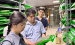 Bộ Y tế thành lập 15 tổ kiểm tra thuốc, mĩ phẩm, thực phẩm chức năng