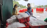 Ngư dân hối hả với mẻ cá cuối cùng trước bão số 3