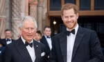 Vua Charles ‘chìa cành ô liu’ với Harry – Meghan