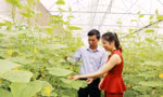 Hệ thống HTX, liên hiệp HTX, tổ hợp tác đang cung ứng cho thị trường trong nước 18-30% lương thực, thực phẩm 
