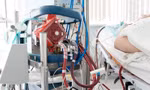 Cô gái nhóm máu cực hiếm suýt chết vì từ chối nhập viện lúc lú lẫn