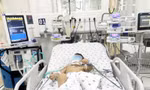 Hai anh em ruột nguy kịch vì bị ong vò vẽ tấn công
