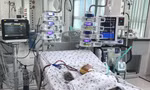 Bé 7 tháng tuổi co giật, nguy kịch vì mắc bệnh truyền nhiễm