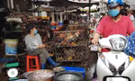 Gà, vịt bán đầy đường ở TPHCM, bất chấp dịch cúm gia cầm đe dọa