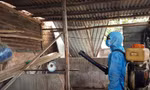 TPHCM kêu gọi người dân cung cấp địa chỉ gây dịch sốt xuất huyết