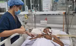 TPHCM: Hơn 4.600 ca mắc sốt xuất huyết, nhiều 'điểm nóng' ngay quận trung tâm