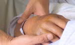 Bị rắn độc tấn công, bệnh nhi nguy kịch vì đắp thuốc thầy lang