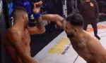 Ozzy Diaz hạ knock-out đối thủ.