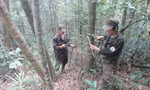 Hành trình 11 năm giải cứu động vật hoang dã