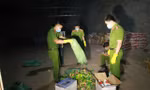 Công an kiểm đếm số thuốc bảo vệ thực vật không hóa đơn chứng từ