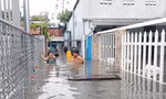 TPHCM: Mưa lớn đầu mùa, người dân 'chạy ngập'