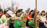 Khởi động trồng một triệu cây xanh ở Lai Châu