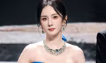 Dương Mịch chơi trội, lấn át cả Chương Tử Di 