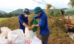 Tuổi trẻ Bình Định ra đồng gặt lúa giúp người dân vùng giãn cách.
