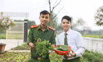 Xanh mướt vườn rau thanh niên công an xã