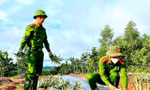 Sắc xanh tình nguyện đội nắng giúp người dân trồng dứa