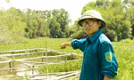  Chàng trai bỏ nghề kỹ sư xây dựng về quê nuôi ốc