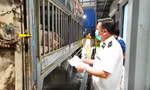 Hà Nội: Liên ngành đột xuất kiểm tra Công ty C.P trong đêm