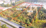 Hà Nội: Giao hơn 10.000m2 đất để thực hiện dự án nhà ở biệt thự