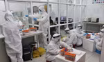 Gấp rút giải mã trình tự gene 4 chuyên gia Ấn Độ mắc COVID-19 vừa phát hiện tại Việt Nam