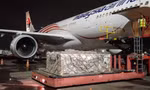 100.000 lọ thuốc Remdesivir điều trị COVID-19 về Việt Nam tối 5/8