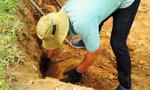 Việc bóc gỡ những vỉa, phiến, tảng đá cổ để trùng tu kè bảo vệ Kinh thành Huế hoàn toàn bằng phương pháp thủ công, nên rất kỳ công, mất nhiều thời gian và nặng nhọc đối với công nhân.