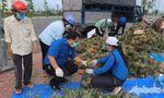Tuổi trẻ Tiền Giang cống hiến vì cộng đồng 