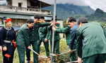 Ấm nồng đông lạnh giá