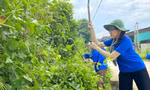 Thước phim đáng nhớ nhất 