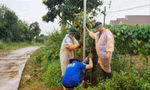 Sinh viên TPHCM thắp sáng đường quê 
