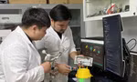 Thời cơ để thanh niên thực hiện sứ mệnh 