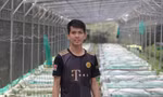 Bỏ đại học 'hút' theo cá kiểng 