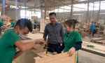 Nông dân 'treo' chuồng trại vì thua lỗ 