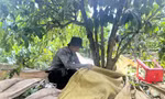 Chợ lao động giữa đại ngàn 