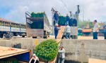 Trời vừa hửng nắng, tàu chạy hết công suất để kịp ‘chở Tết’ ra đảo Lý Sơn