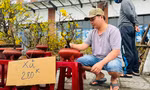 Chợ hoa Tết ế ẩm chưa từng có, tiểu thương treo biển 'xả hàng' nhưng vẫn không có người mua