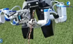 Xem robot leo dây sửa đường điện cao thế ở Trung Quốc