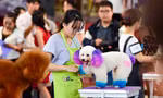 TPHCM sắp diễn ra Ngày hội thú cưng 